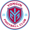龍仁FC