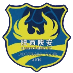 陜西陜安